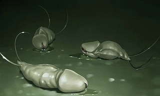 淫虫