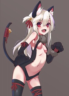 猫
