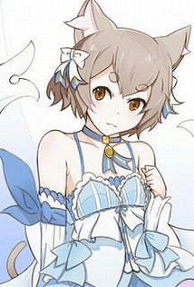 フェリス11