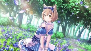 フェリス14