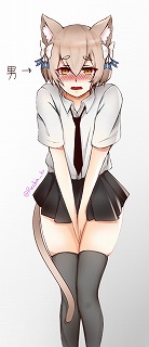 フェリス2