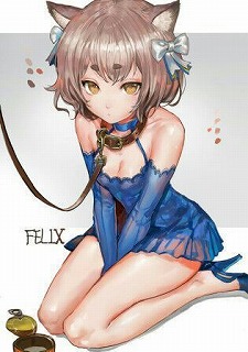 フェリス8