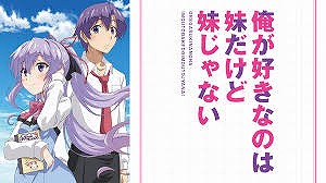 俺が好きなのは妹だけど妹じゃない